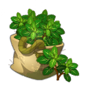Sack of Wild Mint