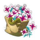 Sack of Freyesque Orchids