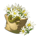 Sack of Edelweiss
