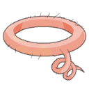 Ceinture Lardière