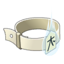 Ceinture du Boostache