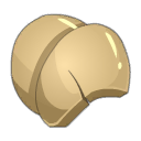 Carapace de Ver des Sables