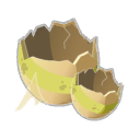 Coquille de Dragoeuf Calcaire