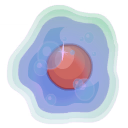 Kroboplasme de Tabacille