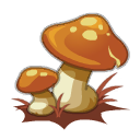 Champignon