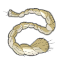 Corde d'escalade