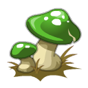 Champignon Luidegît
