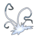 Touffe de Cheveux Blancs