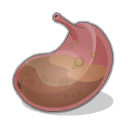 Estomac de Gliglidoudur