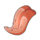 Langue de Champodonte