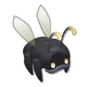 Scaracoiffe Noire