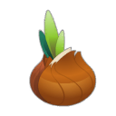 Chaponion
