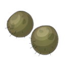 Boules de Kanniboul