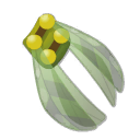 Scaracape Verte