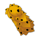 Cape de Nevark