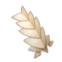 Cape Ostrophe