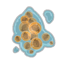 Œufs de Scarafeuille