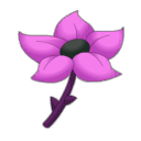 Fleur des protecteurs du Sanctuaire