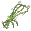 Bouquet de lianes de la Princesse Maudite