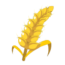 Blé