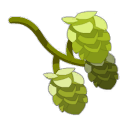 Houblon
