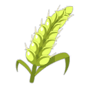 Orge