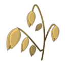 Avoine