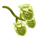 Houblon Brillant