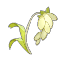 Millet