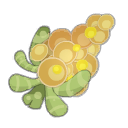 Quisnoa