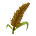 Malt