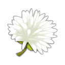 Fleur de Pissenlit Diabolique