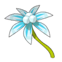 Étoile des Neiges