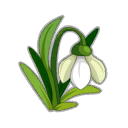 Perce-Neige