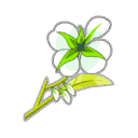 Orchidée de Génie