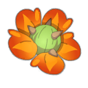 Fleur de Cactiflore