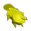 Feuille de Tournesol Sauvage