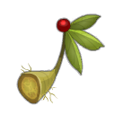 Ginseng
