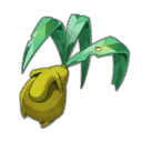 Mandragorgonzola