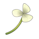 Fleur des protecteurs