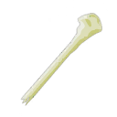 Bâton de fausse magie