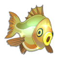 Daurade Royale