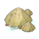 Patelle
