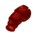 Coccyx du Corailleur