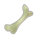 Fémur de Sphincter Cell