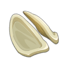 Cartilage de Quadrabz