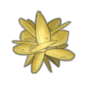 Rose des sables