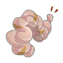 Boyau de zarbivore