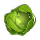 Feuille de salace
