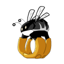 Scaranneau Noir
